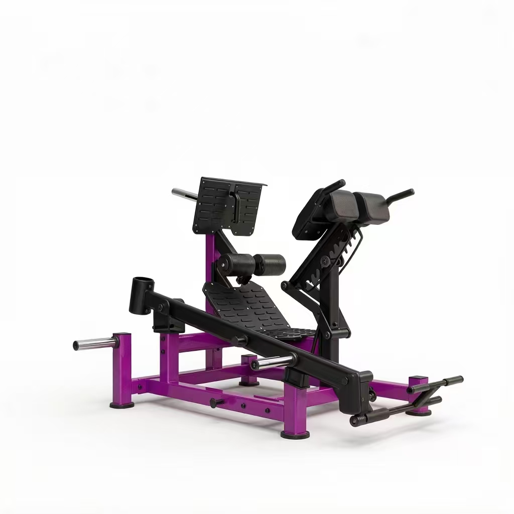 DHE02 DUAL 45 HIP EXTENSION