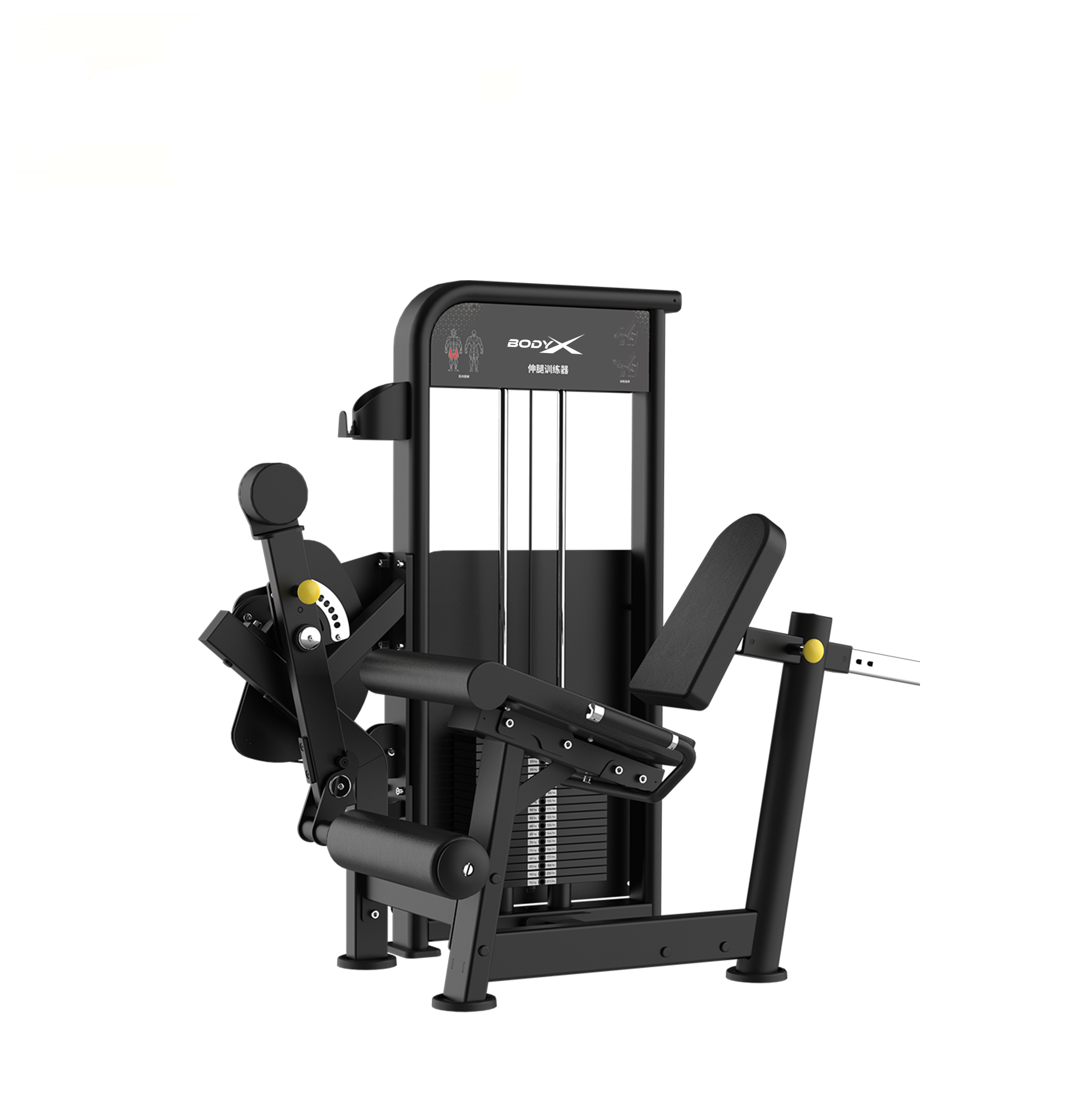 BLY-14 Commercial Use Bodybuilding Gym Fitness Equipment Strength Training Arms Leg Extension Machine